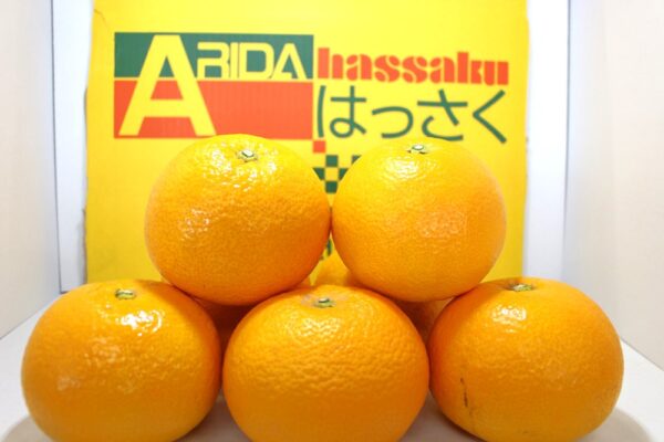 ハッサク