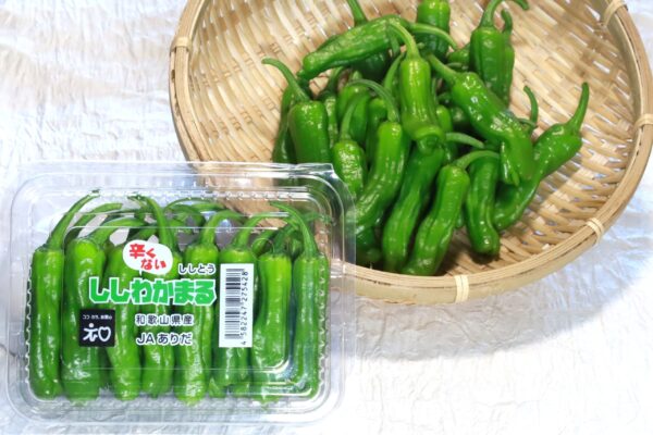 辛くないシシトウ
